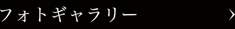 フォトギャラリー