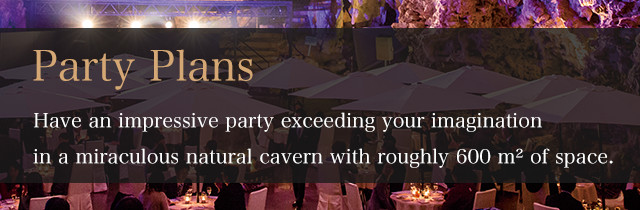 Party Plans