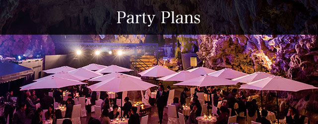Party Plans