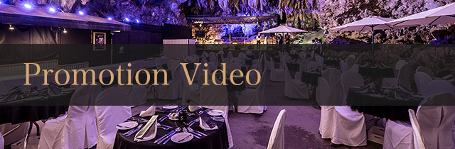 Promotion Video