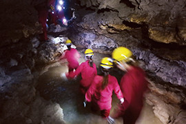 玉泉洞 未公開エリア南の島の洞くつ探検
