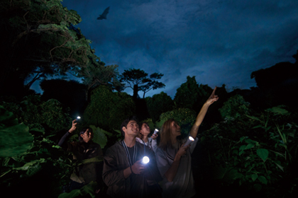 ウワーガージャングル ナイトトレッキング